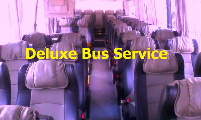 deluxe bus service